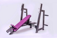 скамья олимпийская наклонная dk- sport gf z103